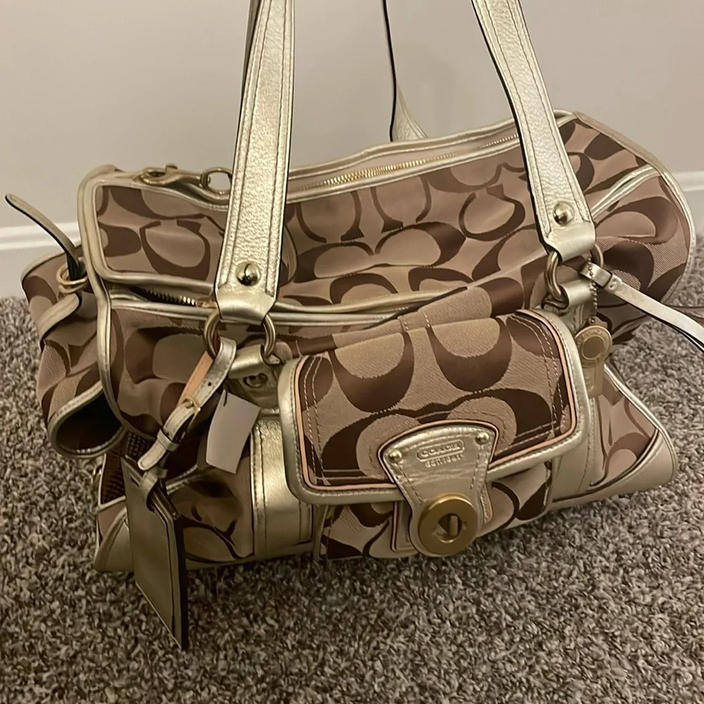 Coach dog carrier